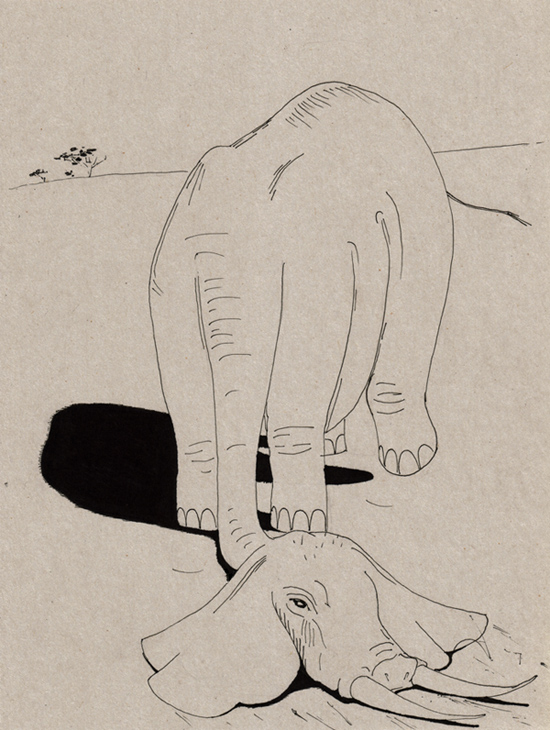 elephant walking backwards